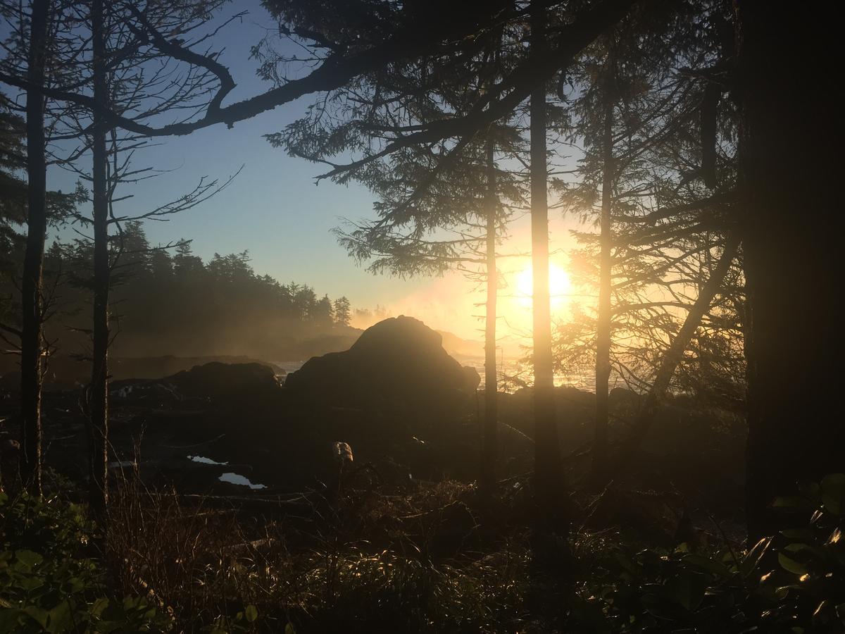 The Francis Boutique Inn Ucluelet Eksteriør billede